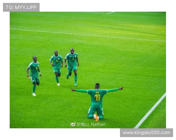 南京乒乓球队逆袭之旅揭秘世界杯预选赛背后的奋斗与荣耀